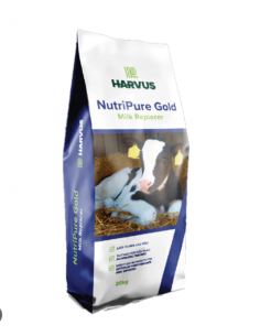 HARVUS NUTRIPURE GOLD MILK...