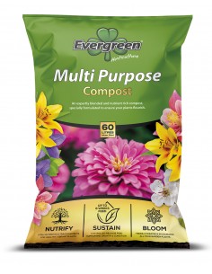 EVERGREEN MULTI PURPOSE...