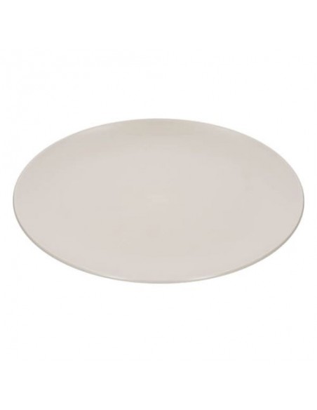 NATURAL ELEMENTS DINNER PLATES SET OF 4 RPET